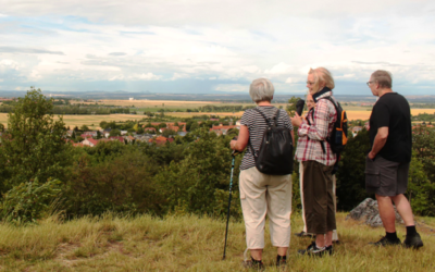 Let’s Go for a Walk: How Regular Exercise Can Aid Mental Health